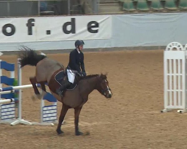 Reitturnier Kreuth 2023