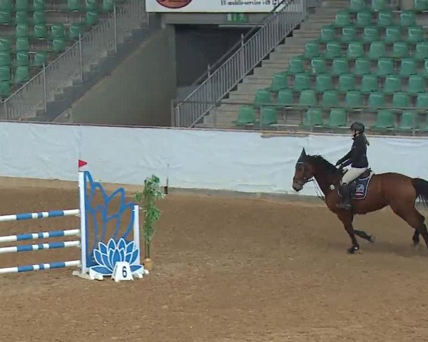Reitturnier Kreuth 2023