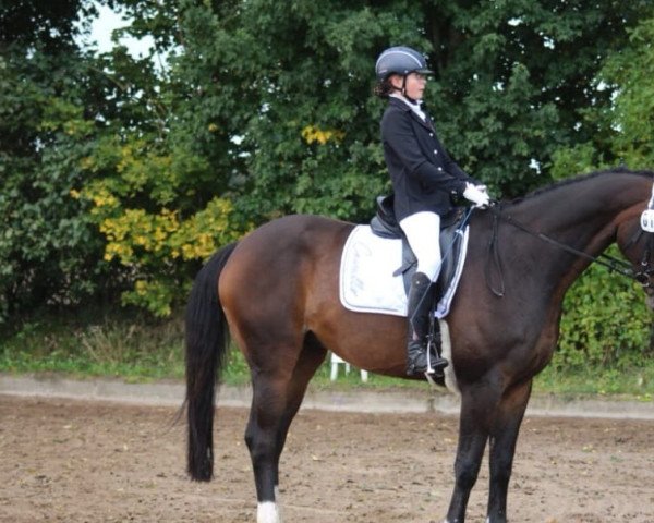 dressage horse Flying Dancer 10 (Rhinelander, 2008, from Fidertanz)