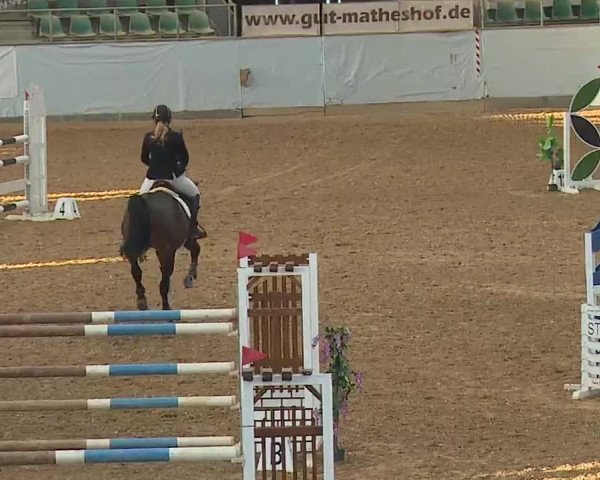 Reitturnier Kreuth 2023