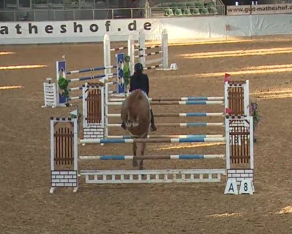 Reitturnier Kreuth 2023