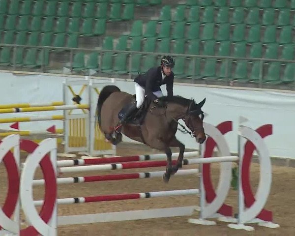 Reitturnier Kreuth 2023
