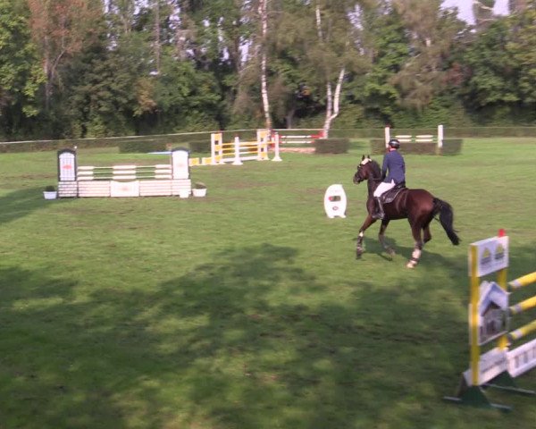 Reitturnier Westeregeln 2021