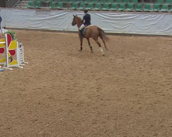 Reitturnier Kreuth 2023