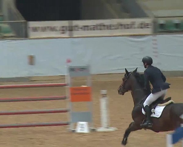 Reitturnier Kreuth 2023