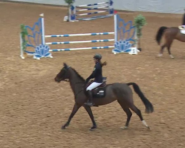 Reitturnier Kreuth 2023