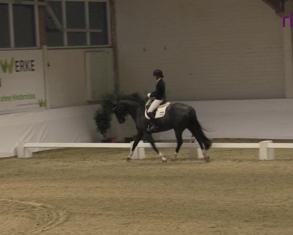 Reitturnier Borken 2023