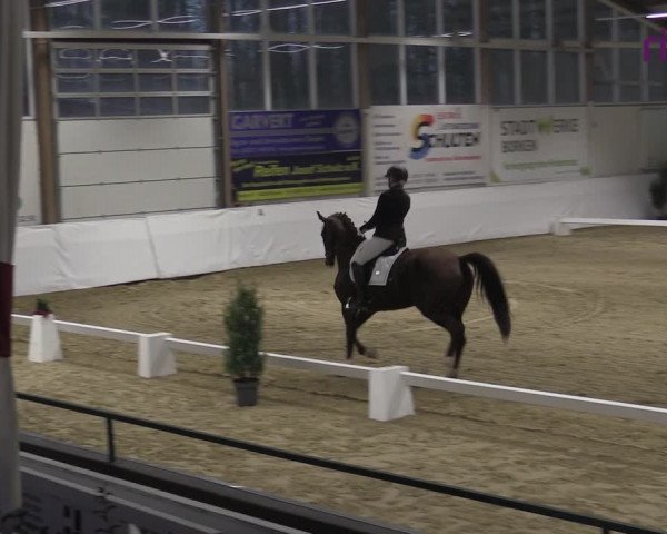 Reitturnier Borken 2023