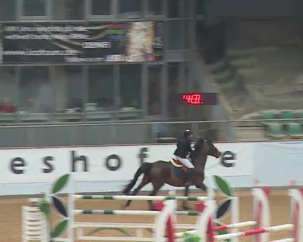 Reitturnier Kreuth 2023