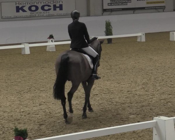 Reitturnier Borken 2023