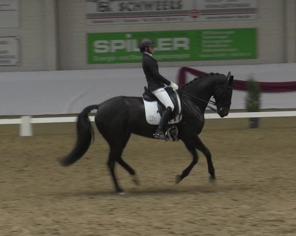 Reitturnier Borken 2023