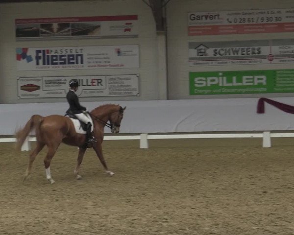 Reitturnier Borken 2023