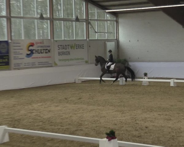 Reitturnier Borken 2023