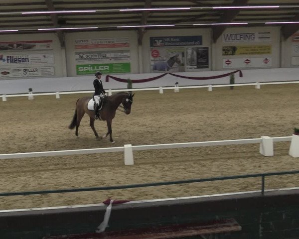 Reitturnier Borken 2023