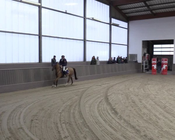 Reitturnier Münster-Handorf 2023