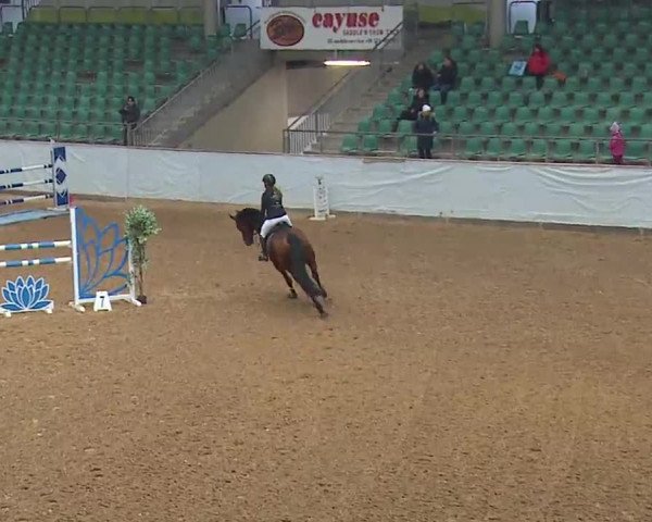 Reitturnier Kreuth 2023