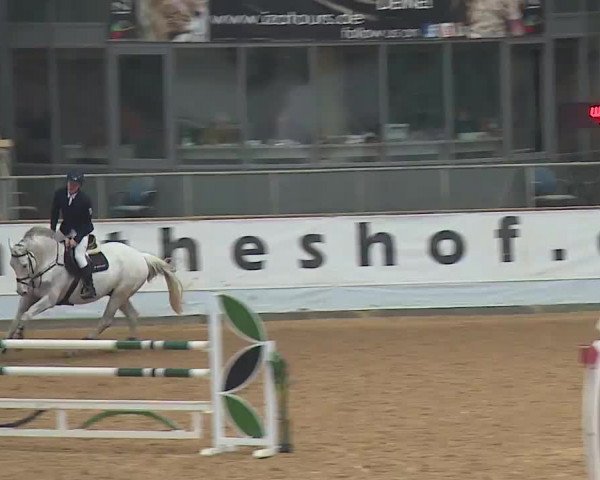 Reitturnier Kreuth 2023