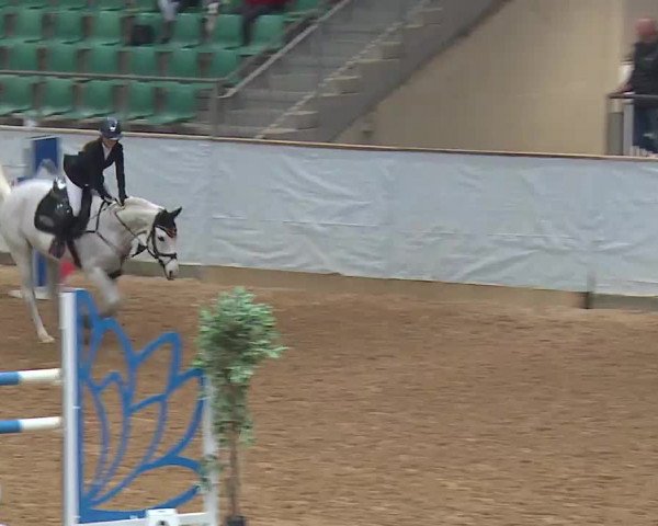 Reitturnier Kreuth 2023