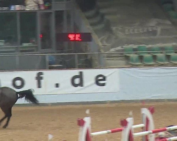 Reitturnier Kreuth 2023