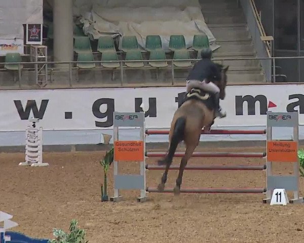 Reitturnier Kreuth 2023