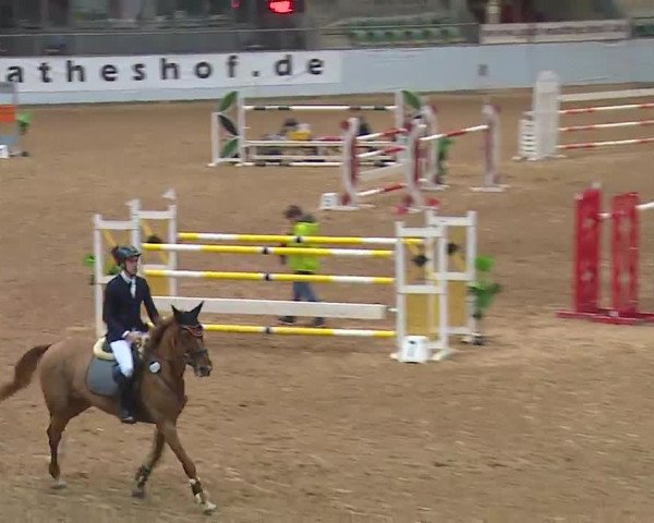 Reitturnier Kreuth 2023