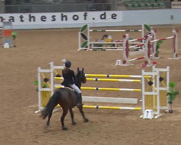 Reitturnier Kreuth 2023