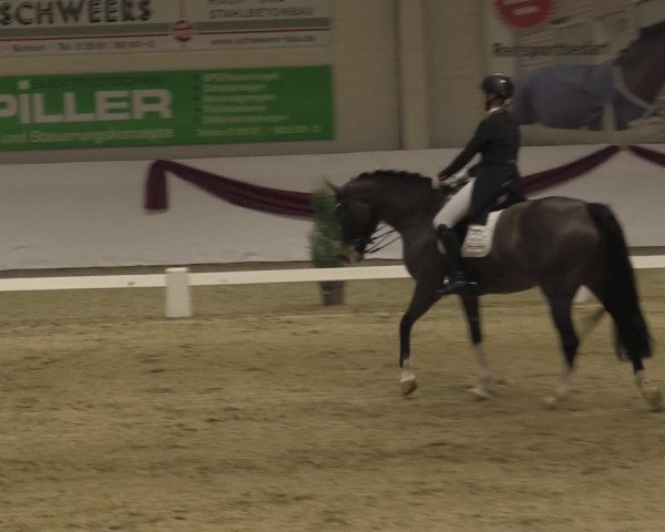 Reitturnier Borken 2023
