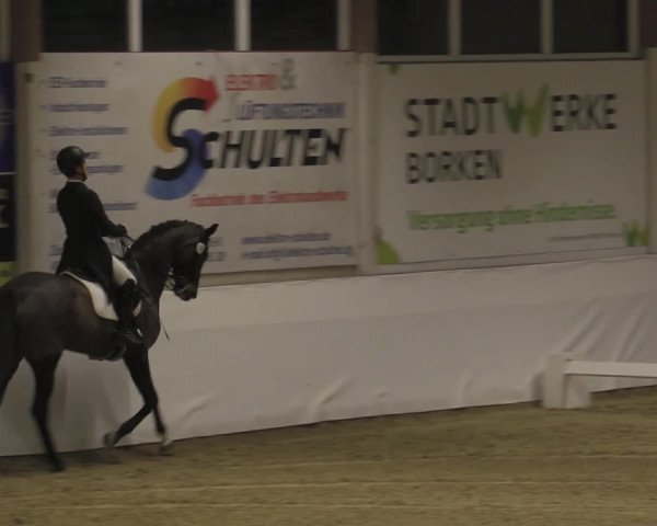 Reitturnier Borken 2023