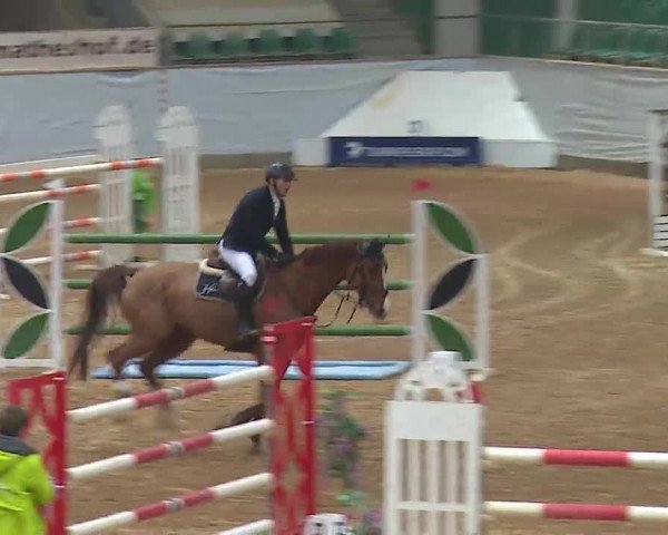 Reitturnier Kreuth 2023