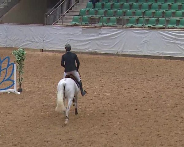 Reitturnier Kreuth 2023