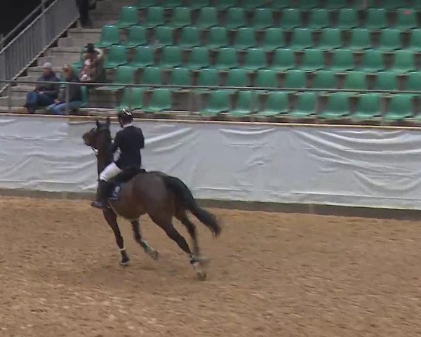Reitturnier Kreuth 2023