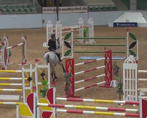 Reitturnier Kreuth 2023