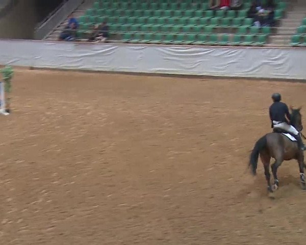 Reitturnier Kreuth 2023