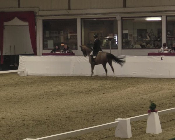 Reitturnier Borken 2023