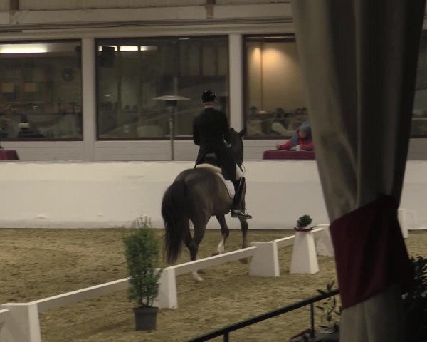 Reitturnier Borken 2023