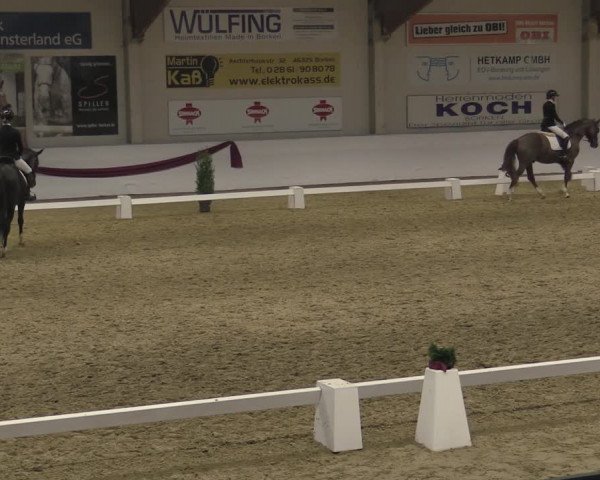 Reitturnier Borken 2023