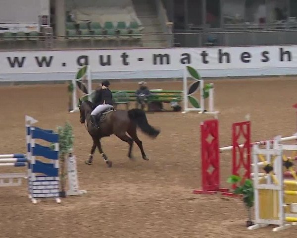 Reitturnier Kreuth 2023