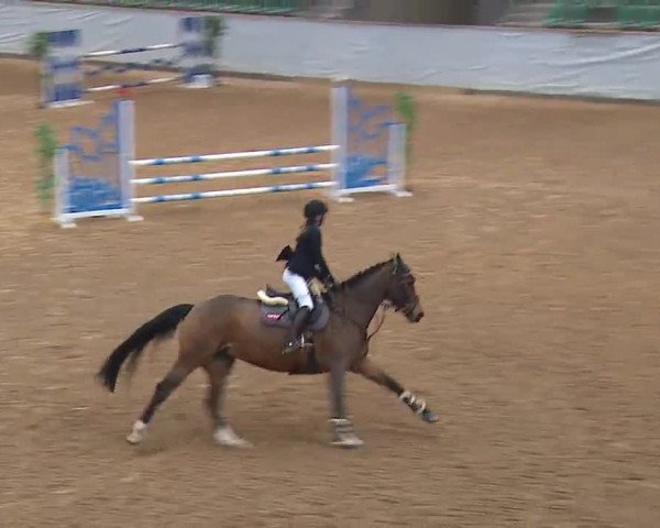 Reitturnier Kreuth 2023