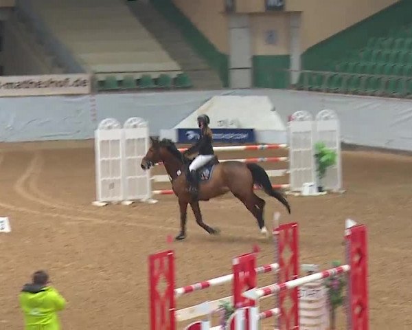 Reitturnier Kreuth 2023