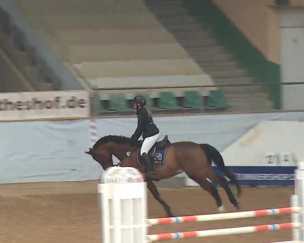 Reitturnier Kreuth 2023