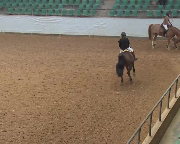 Reitturnier Kreuth 2023