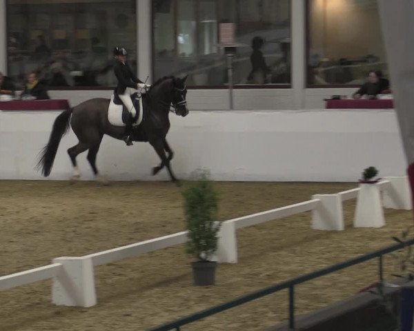 Reitturnier Borken 2023