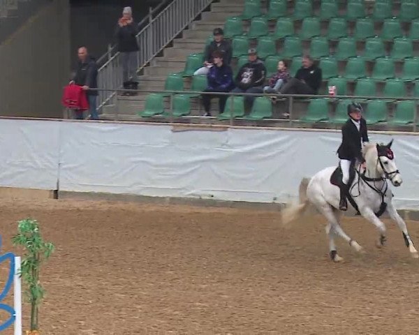 Reitturnier Kreuth 2023