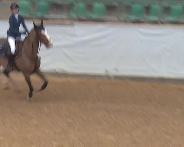 Reitturnier Kreuth 2023