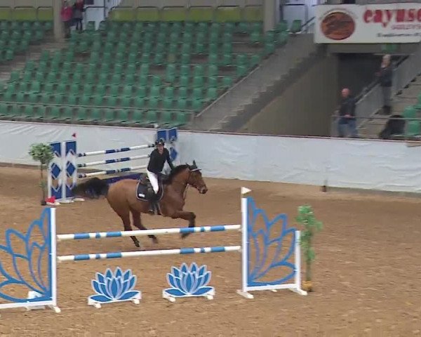Reitturnier Kreuth 2023