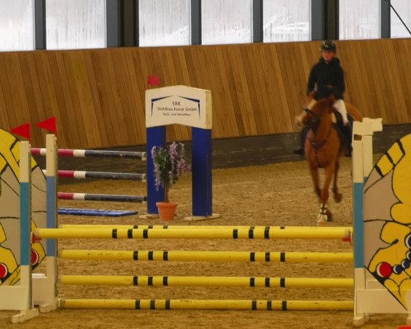 Reitturnier Zwickau 2023