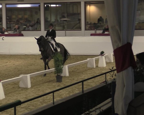 Reitturnier Borken 2023