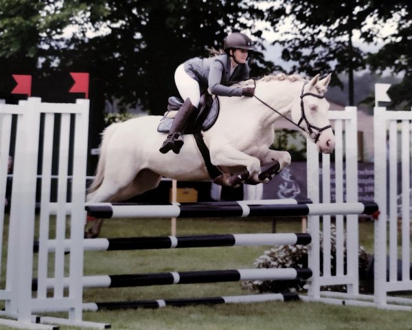 Springpferd La Crema D'Oro (Quarter Pony, 2017)