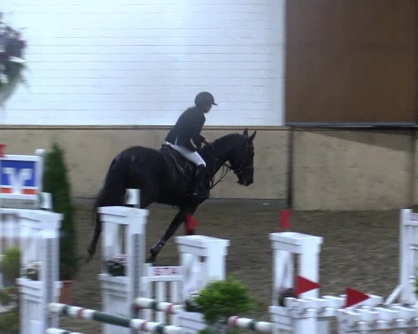 Reitturnier Hövelhof 2021