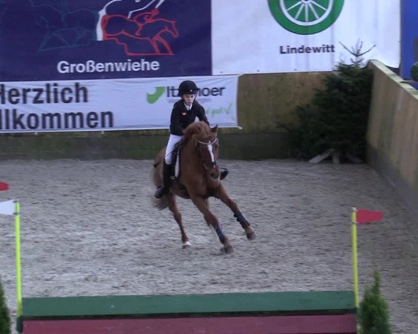 Reitturnier Großenwiehe 2023